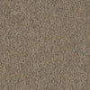 Shaw Carpet Tile Multiplicity Oodles Swatch