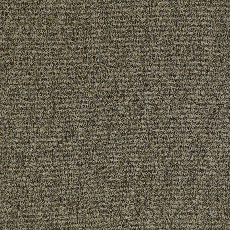 Shaw Carpet Tile Multiplicity Oodles 24”