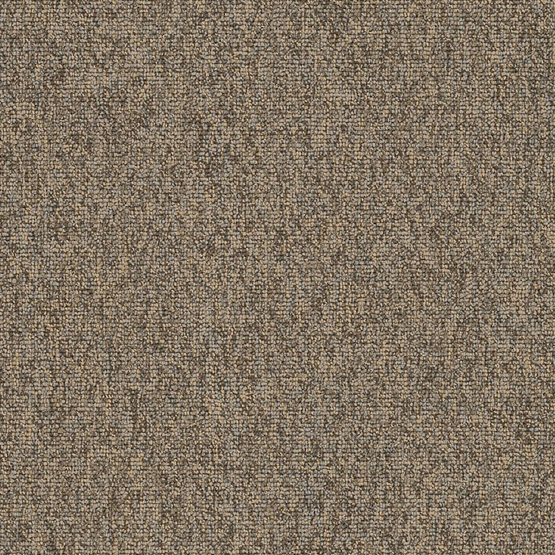 Shaw Carpet Tile Multiplicity Oodles