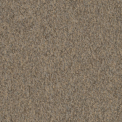 Shaw Carpet Tile Multiplicity Oodles Swatch