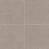Daltile Astronomy Rectangle 12x24 Orion