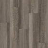 Shaw Endura 512C Plus Oyster Oak Swatch