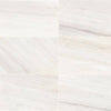 Daltile Eclessia Marble Rectangle Polished 12"x24" Pacifica