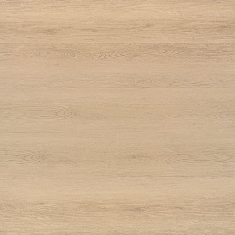 MSI Everlife Laurel Reserve Palmilla Swatch