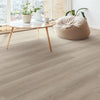 Shaw Floorte Pro Infinite SPC Pampas Room Scene