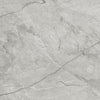 Virginia Tile La Marca 24x48 Tile Paradiso Argento Rectified Polished