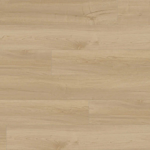 Metroflor Provident Public Park Ridge Swatch