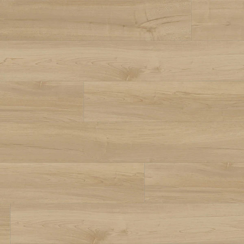Metroflor Provident Public Park Ridge