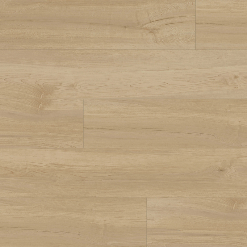 Metroflor Provident Civic Park Ridge