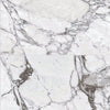 Pearl Arabesque / 9.69