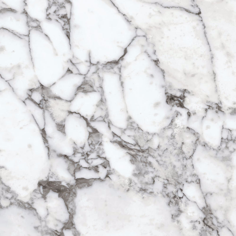 Daltile Marble Attache Lavish Rectangle 24x48