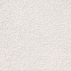 Tile Collection Urban Living 24x24 Tile Pearl Raw