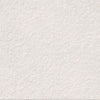 Tile Collection Urban Living 12x24 Tile Pearl Raw