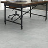 Shaw Easy Paragon Tile Plus Floorte Pearl Room Scene