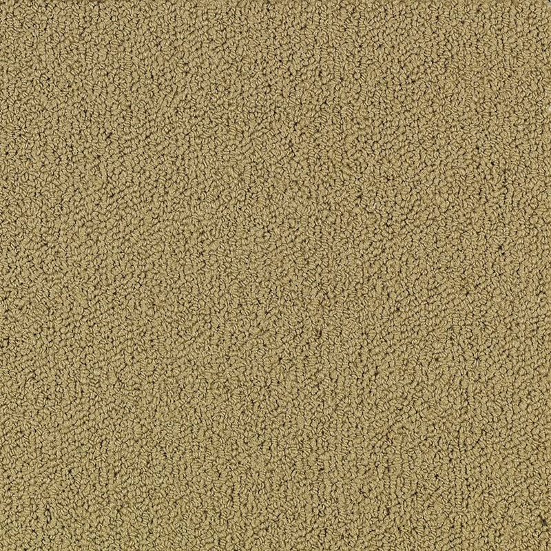 Shaw Carpet Tile Color Accents Pecan