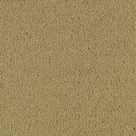 Shaw Carpet Tile Color Accents Pecan Swatch