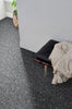 MSI Grigio Glossy Penny Round Mosaic Porcelain Tile Room Scene