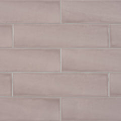 Tile Collection Teramoda 3x12 Tile Petal Glossy