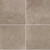 Pewter / 15.20
