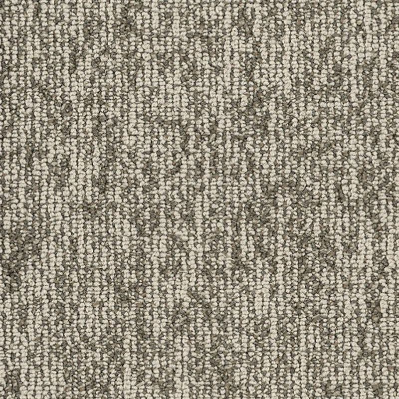 Shaw Carpet Tile Basin Pingo