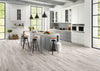 ANTONI PORCELAIN TILE COLLECTION PLATINUM - 6"x36" Room Scene