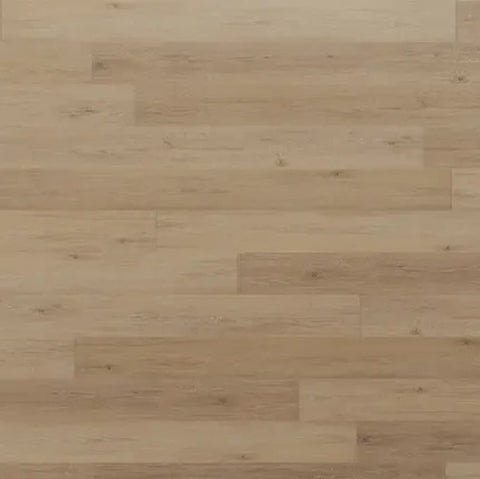 Mannington Adura Rigid Plank Regency Oak Polished Platinum Swatch