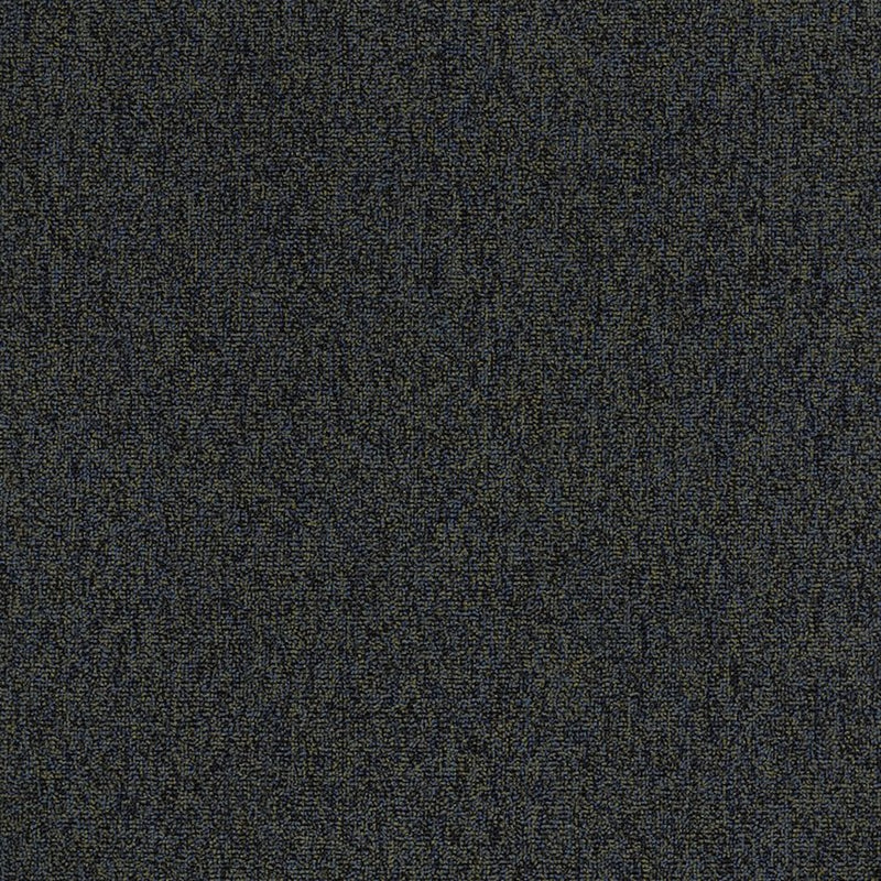Shaw Carpet Tile Multiplicity Plentiful 24”