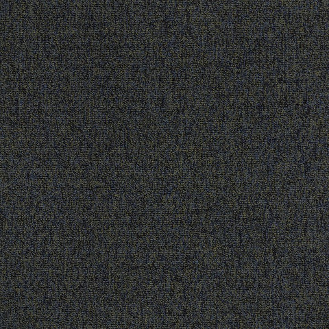 Shaw Carpet Tile Multiplicity Plentiful 24” Swatch