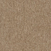 Shaw Carpet Tile Multiplicity Plethora Swatch