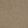 Shaw Carpet Tile Multiplicity Plethora 24” Swatch