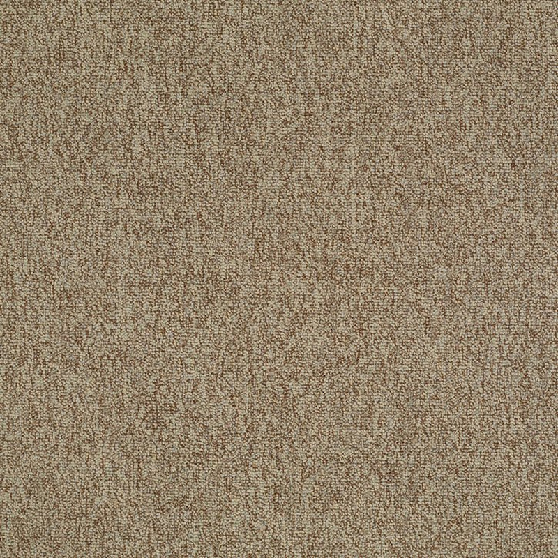 Shaw Carpet Tile Multiplicity Plethora 24”