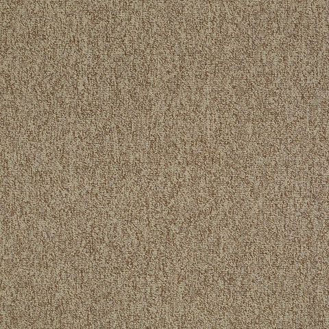 Shaw Carpet Tile Multiplicity Plethora 24” Swatch