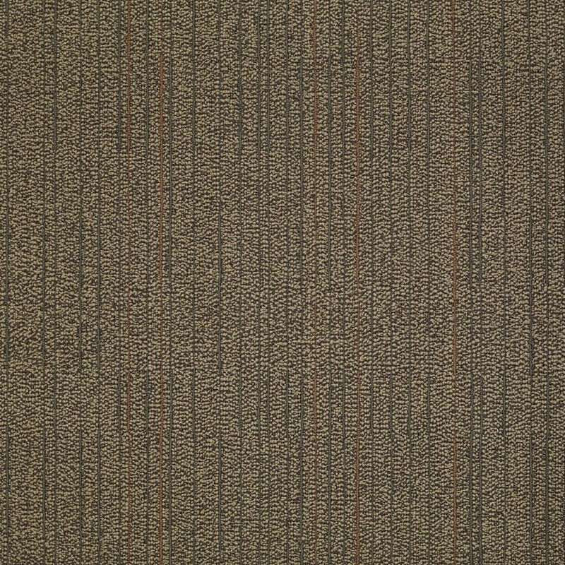 Shaw Carpet Tile Immerse Ponder
