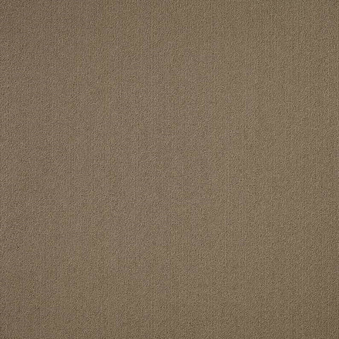 Shaw Carpet Tile Color Accents Portabella Swatch