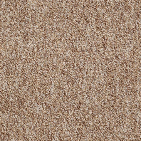Shaw Carpet Tile No Limits Tile Potential Swatch
