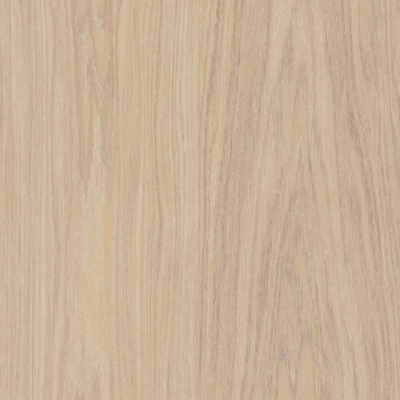 Bjelin Hardened Wood XXL Select Powder White Oak Swatch
