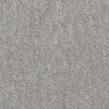 Shaw Carpet Tile Capital III Power Play Swatch