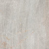 Paramount Tile Fossil Perla Matte 12" x 24"