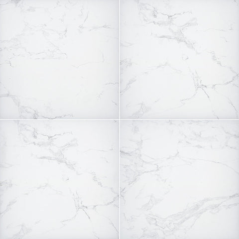Arterra Porcelain Paver Praia Carrara - 24"x24" Swatch