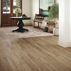 Mannington Adura Max Preservation Artifact