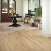 Mannington Adura Rigid Plank Preservation Fossil