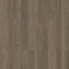 Shaw Floorte Pro Infinite SPC Raconteur Swatch