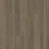 Shaw Infinite 20 Vinyl Plank Tile Raconteur