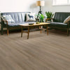 Shaw Infinite 12 Vinyl Plank Tile Raconteur