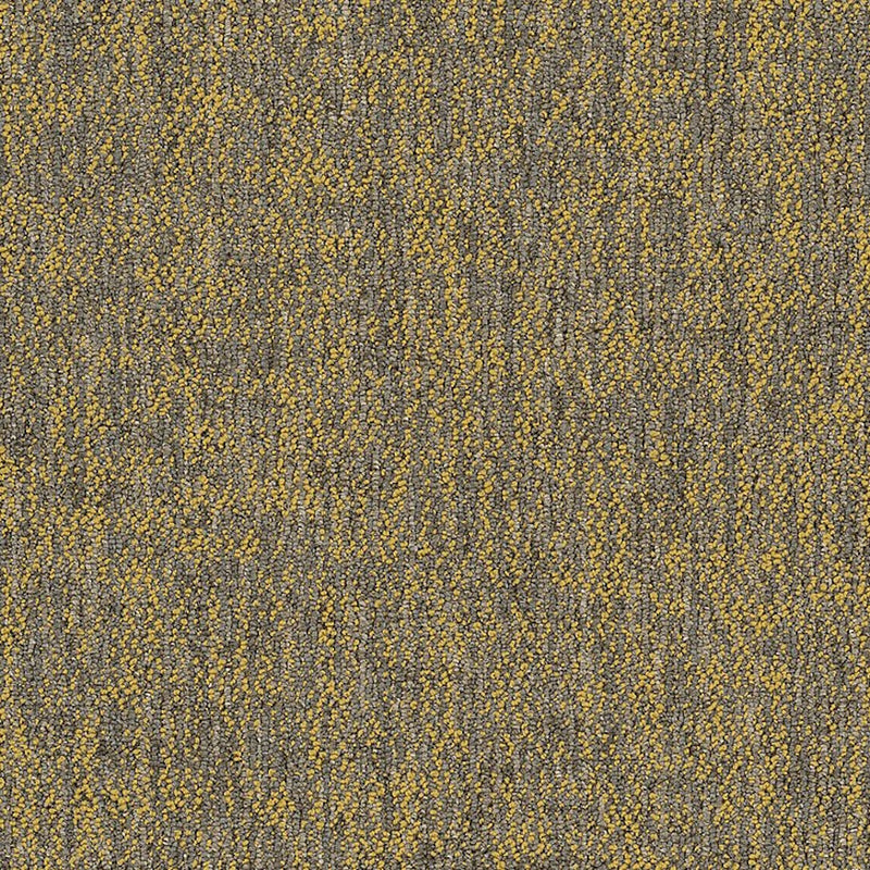 Shaw Carpet Tile Crazy Smart Radiant