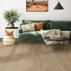 Metroflor Genesis WPC Silhouette River's Edge Room Scene