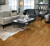 Somerset Homestyle Butterscotch 3 1/4" Room Scene