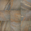 Rustic Remnant / 16