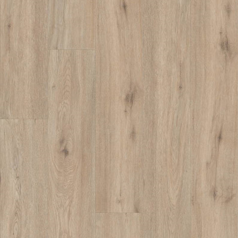 Shaw Pantheon HD Plus Sabbia Swatch