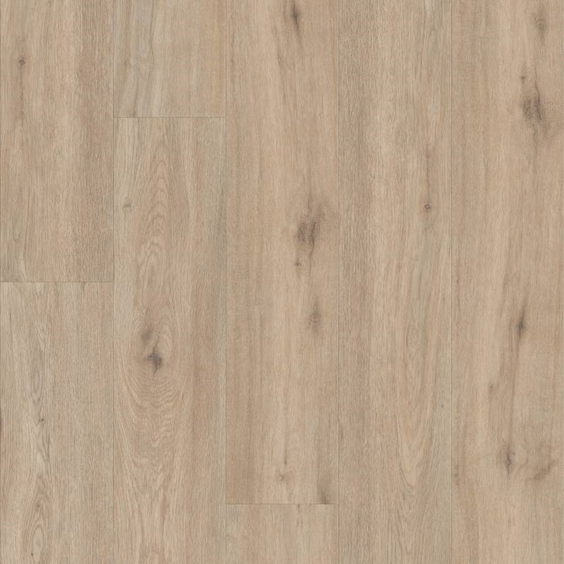 Shaw Pantheon HD Plus Sabbia